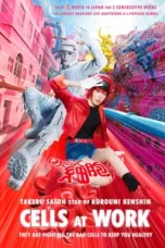 film-cells-at-work-2024-layarbulan21